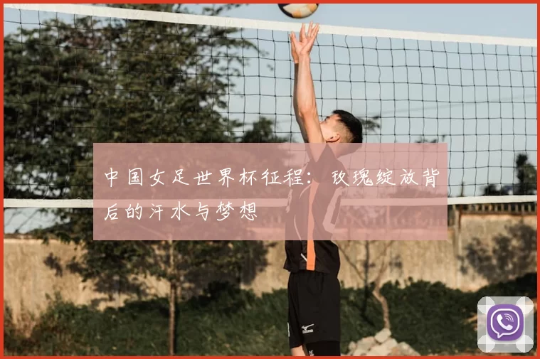 中国女足世界杯征程：玫瑰绽放背后的汗水与梦想