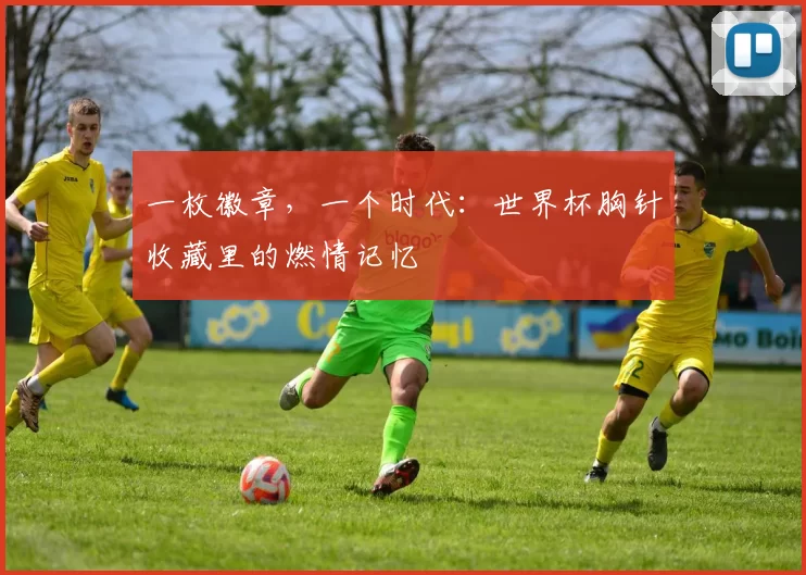 一枚徽章，一个时代：世界杯胸针收藏里的燃情记忆