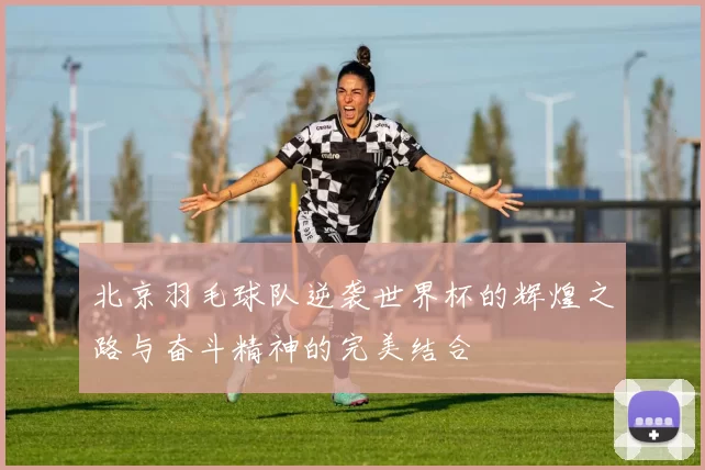 北京羽毛球队逆袭世界杯的辉煌之路与奋斗精神的完美结合
