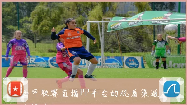 西甲联赛直播PP平台的观看渠道与选择建议