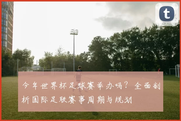 今年世界杯足球赛举办吗？全面剖析国际足联赛事周期与规划