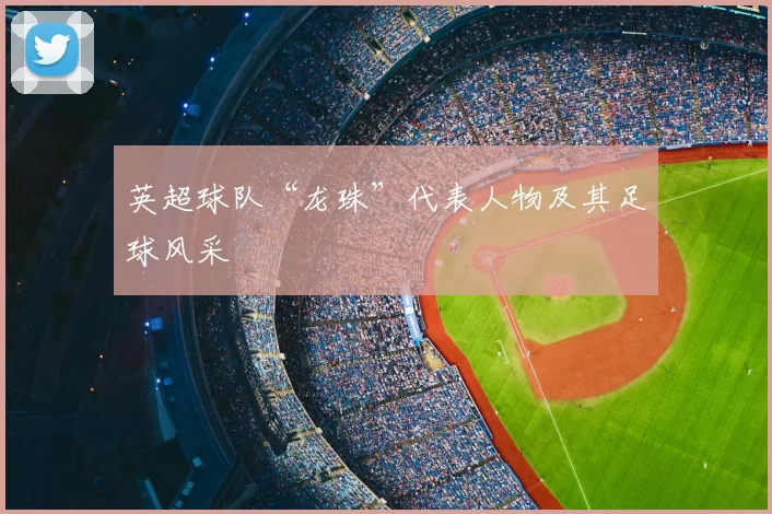 英超球队“龙珠”代表人物及其足球风采