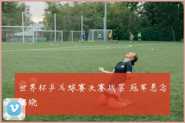 世界杯乒乓球赛决赛战罢 冠军悬念揭晓