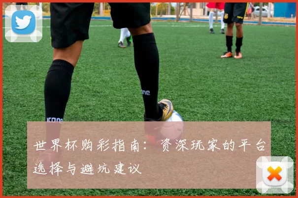 世界杯购彩指南:资深玩家的平台选择与避坑建议