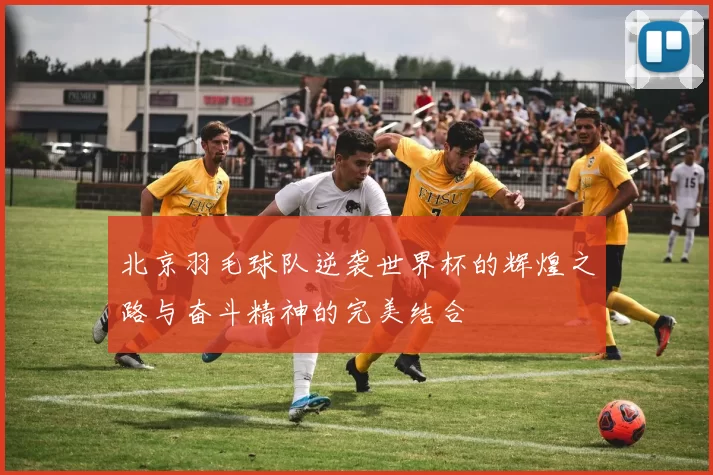 北京羽毛球队逆袭世界杯的辉煌之路与奋斗精神的完美结合