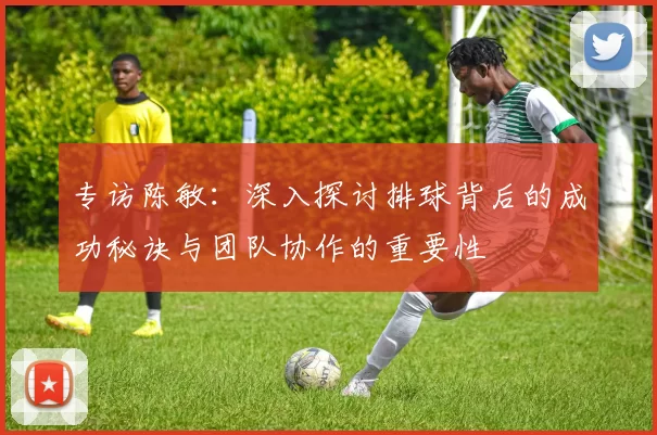 专访陈敏：深入探讨排球背后的成功秘诀与团队协作的重要性