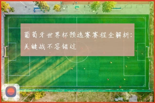 葡萄牙世界杯预选赛赛程全解析:关键战不容错过