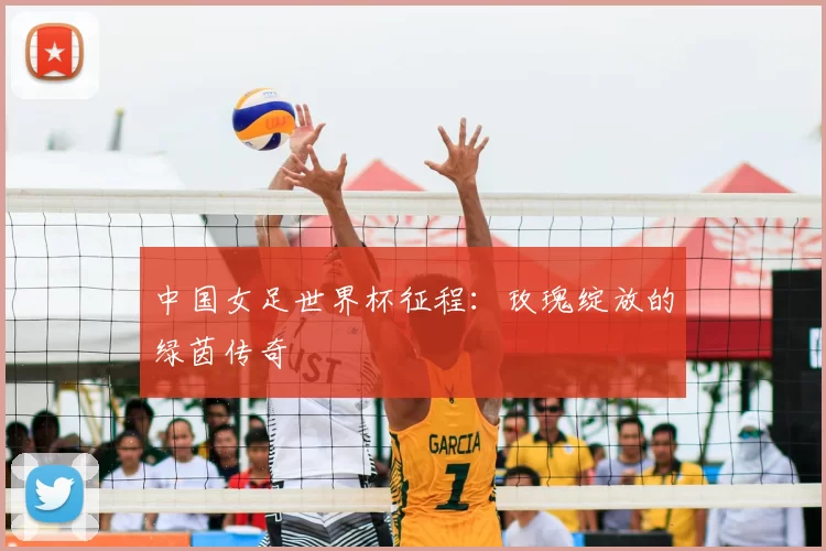 中国女足世界杯征程：玫瑰绽放的绿茵传奇
