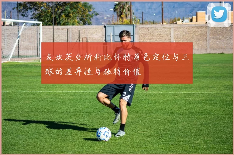 麦坎茨分析科比怀特角色定位与三球的差异性与独特价值