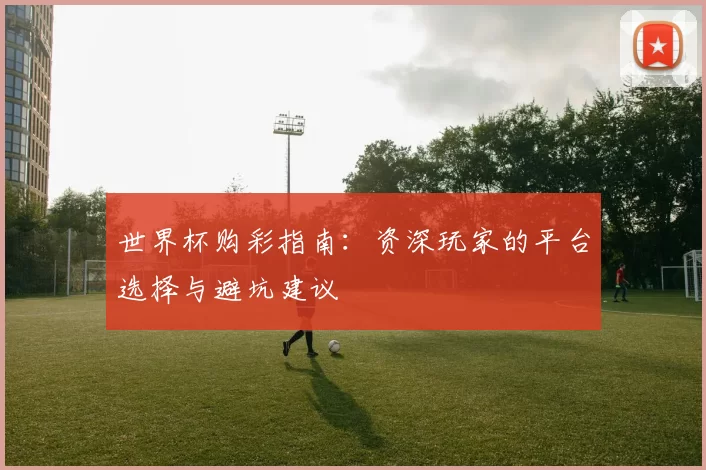 世界杯购彩指南:资深玩家的平台选择与避坑建议