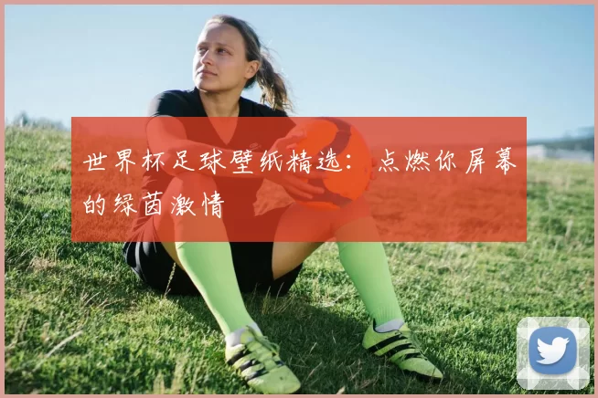 世界杯足球壁纸精选：点燃你屏幕的绿茵激情