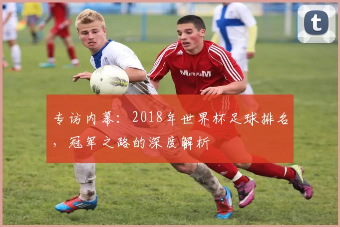 专访内幕：2018年世界杯足球排名，冠军之路的深度解析