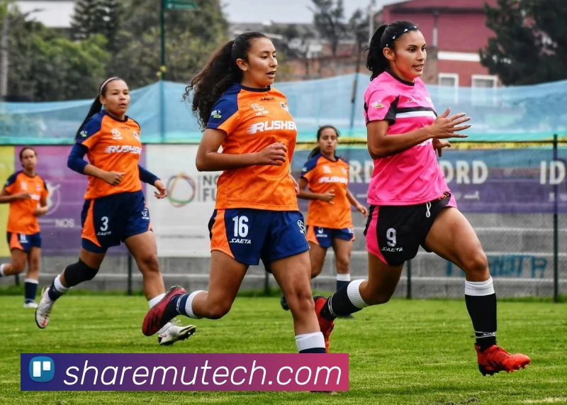 华体会体育平台生态图