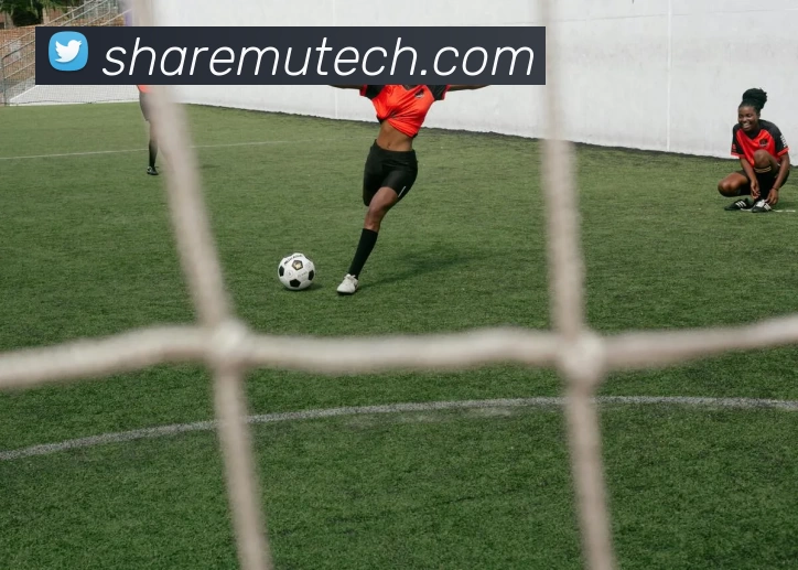 华体会体育服务体系